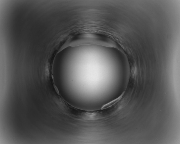 X0000089430570200706151311