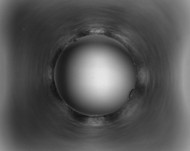 X0000089430571200706151311