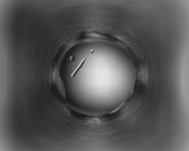 X0000089430572200706151311