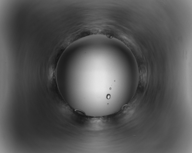 X0000089430574200706151311