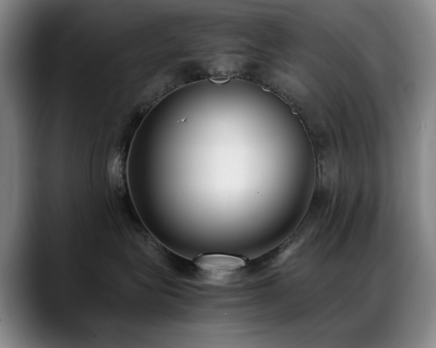 X0000089430575200706151311