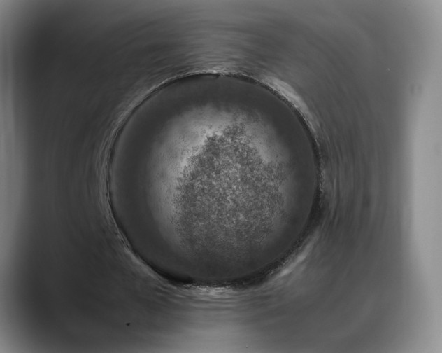 X0000089430577200706151310