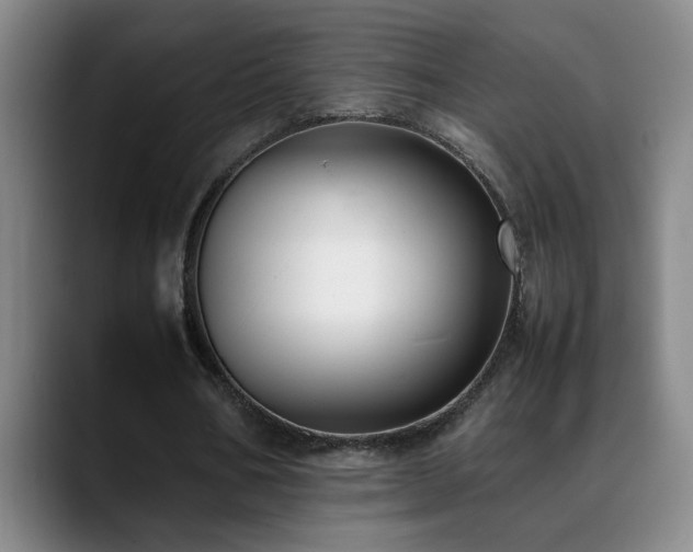 X0000089430578200706151310