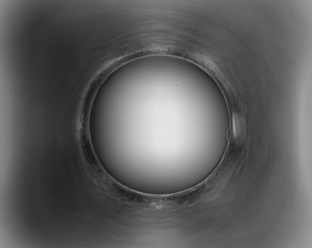 X0000089430579200706151310