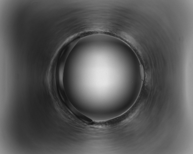 X0000089430580200706151310