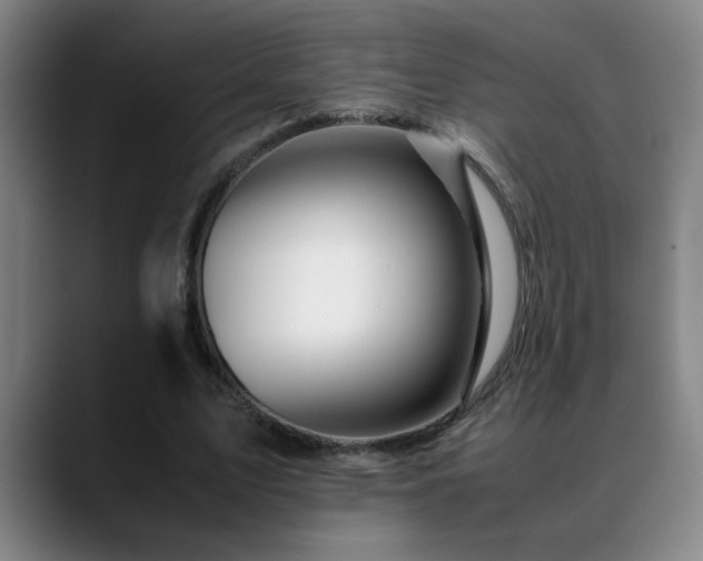 X0000089430583200706151310