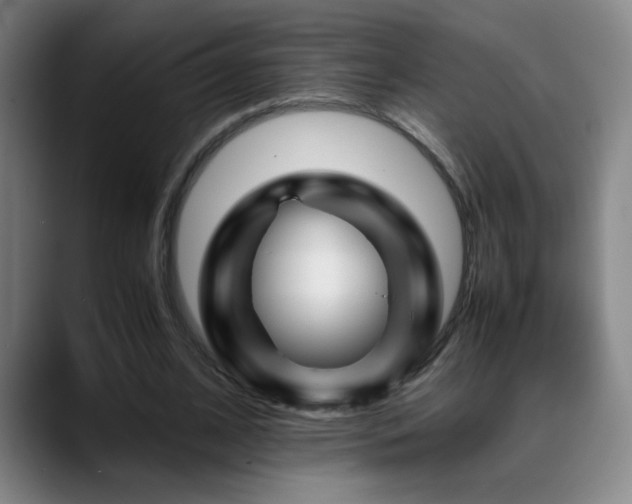 X0000089430584200706151310
