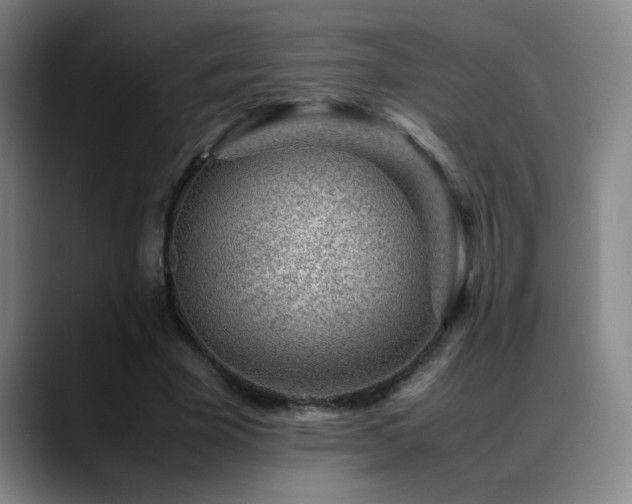 X0000089430585200706151310