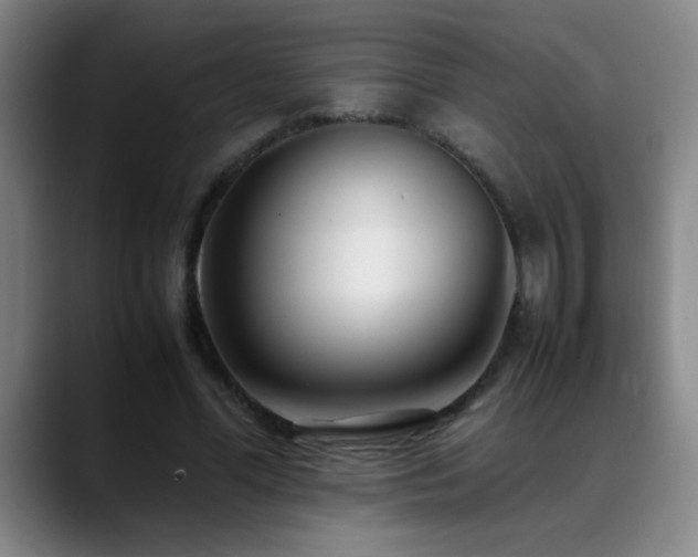 X0000089430588200706151310