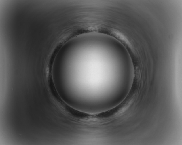 X0000089430589200706151310