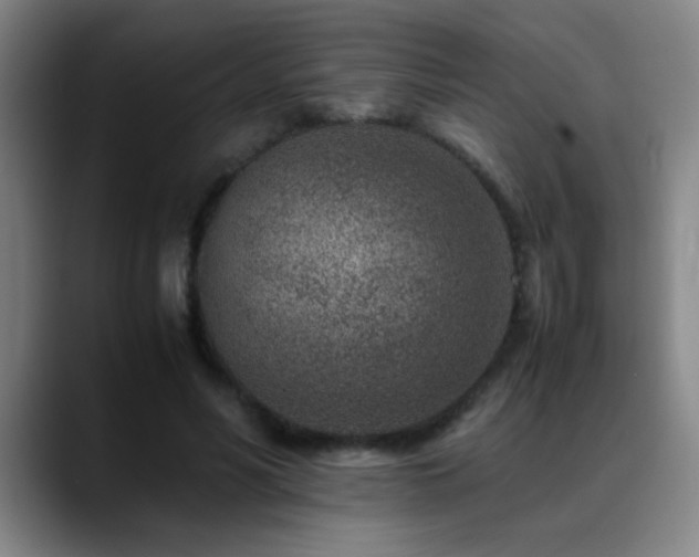 X0000089430590200706151310
