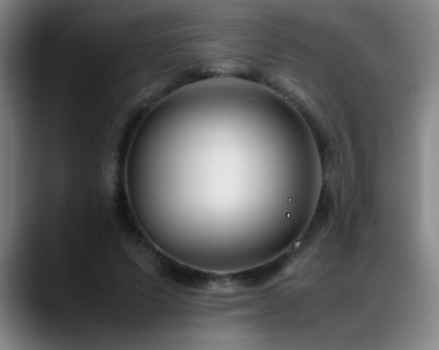 X0000089430591200706151310