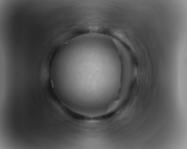 X0000089430593200706151310
