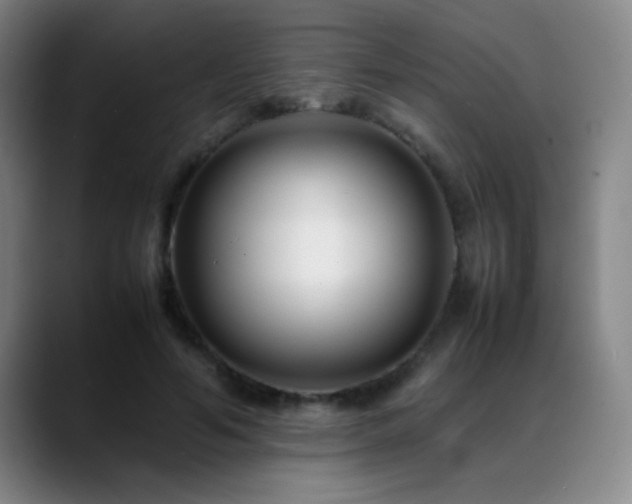 X0000089430594200706151310