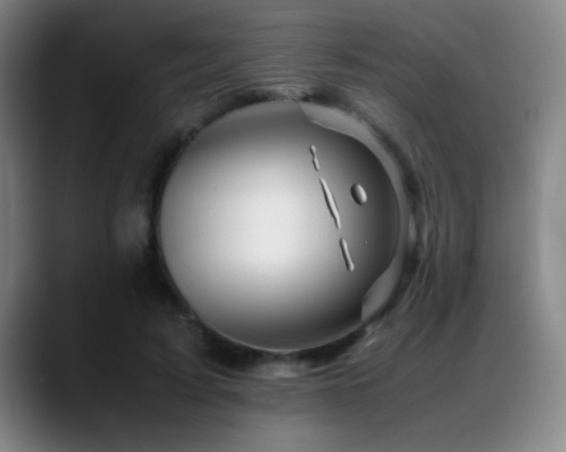 X0000089430595200706151310