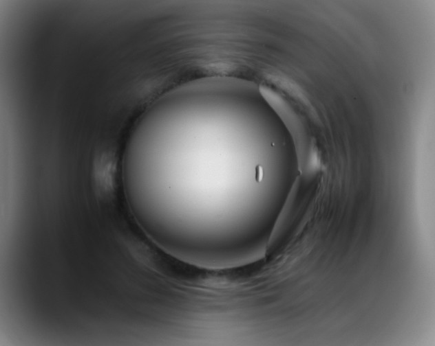 X0000089430596200706151310