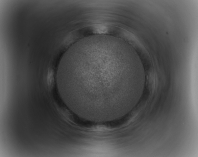 X0000089430598200706151310
