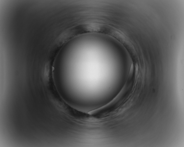 X0000089430600200706151310