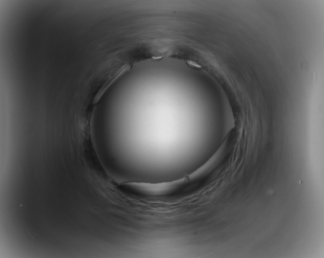 X0000089430601200706151310