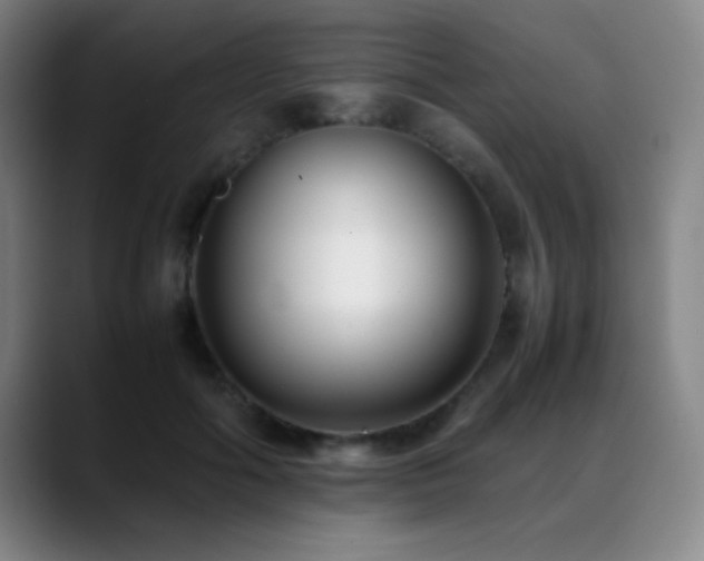 X0000089430602200706151310