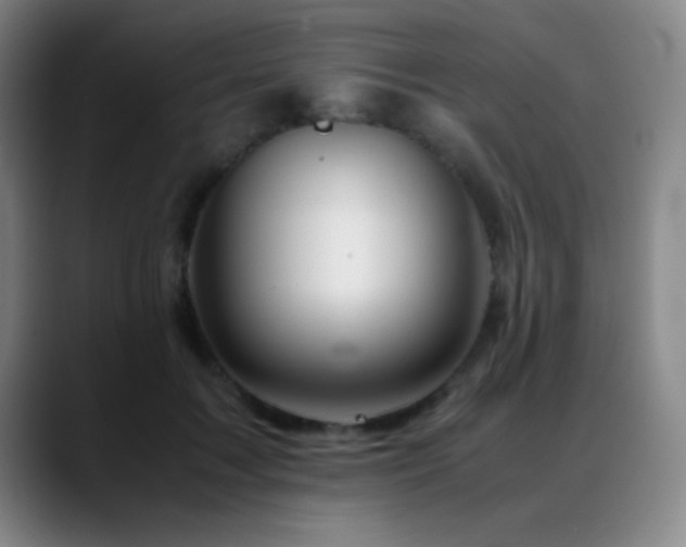 X0000089430603200706151310