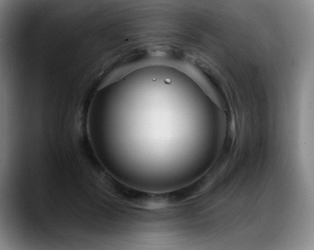 X0000089430604200706151310