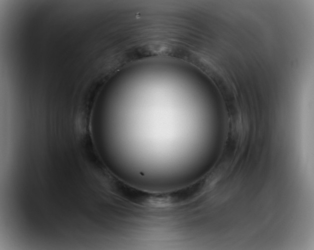 X0000089430606200706151310