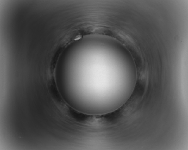X0000089430607200706151310