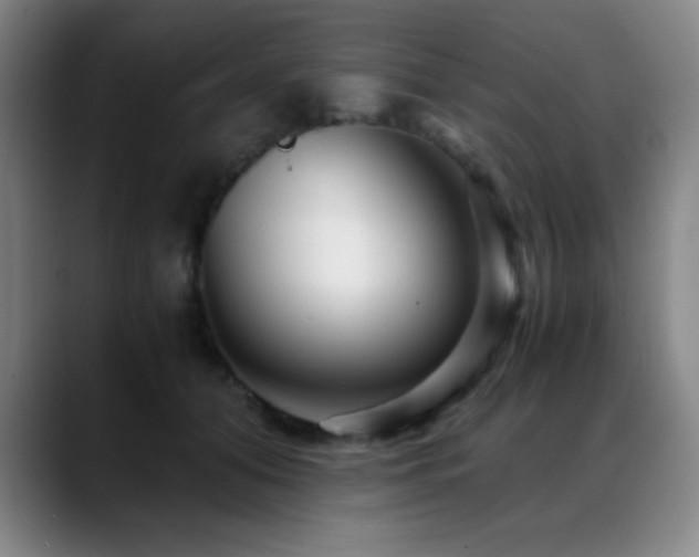 X0000089430608200706151310