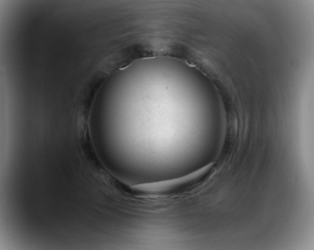 X0000089430609200706151310
