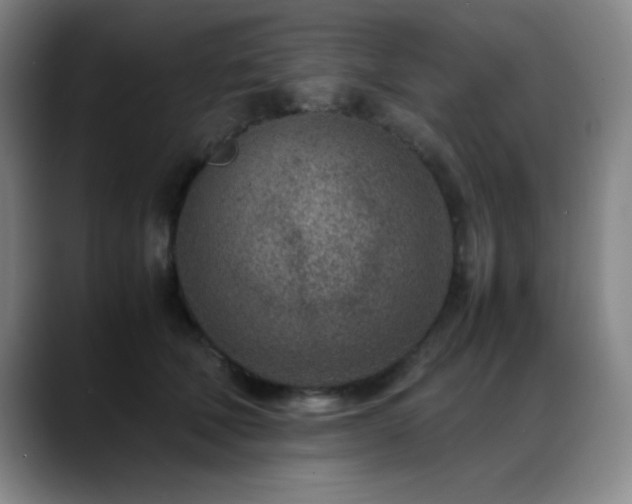 X0000089430610200706151310