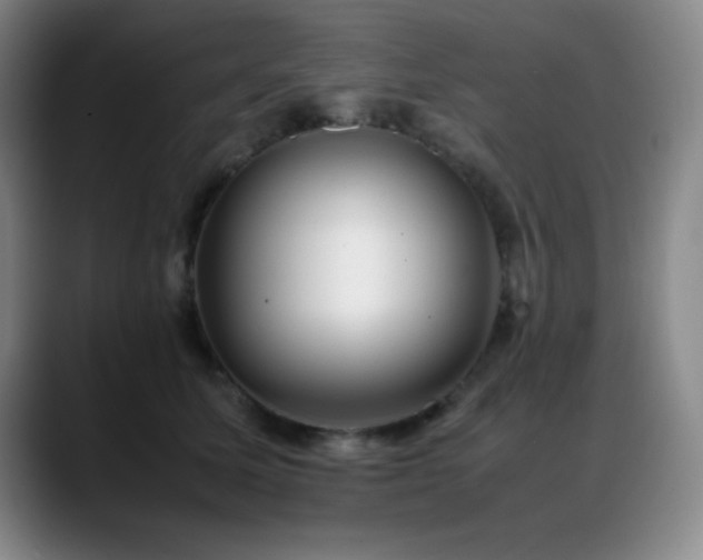 X0000089430611200706151310