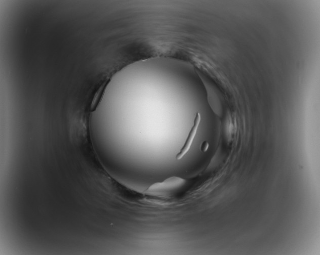 X0000089430613200706151310