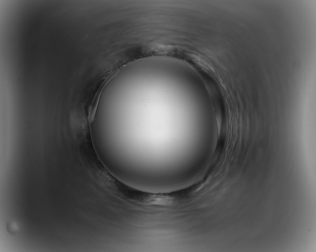 X0000089430617200706151310