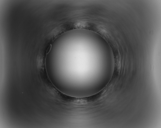X0000089430619200706151310