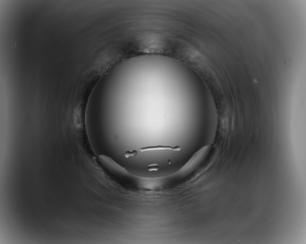 X0000089430620200706151310