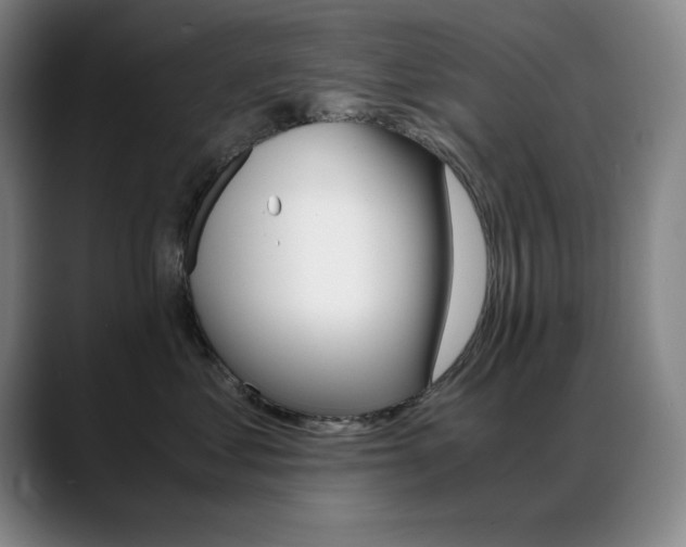 X0000089430621200706151310