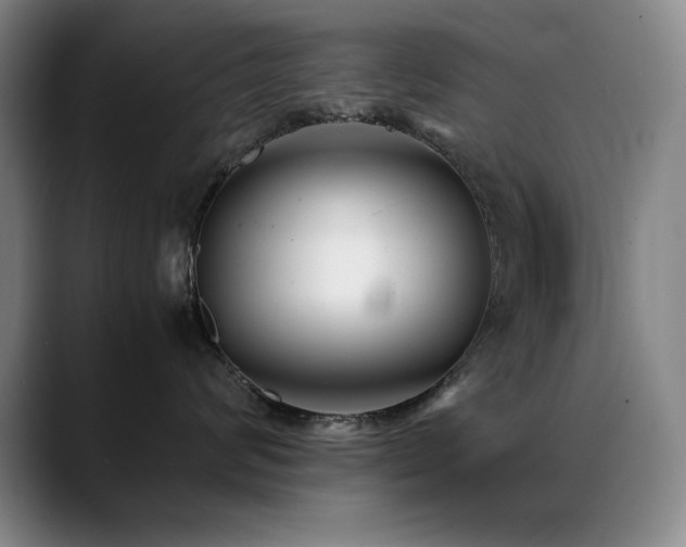 X0000089430624200706151310