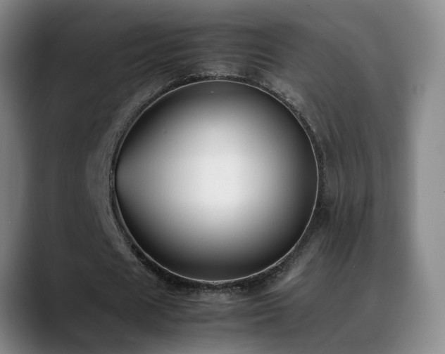 X0000089430625200706151309