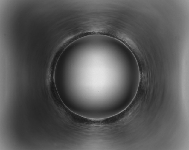X0000089430628200706151309