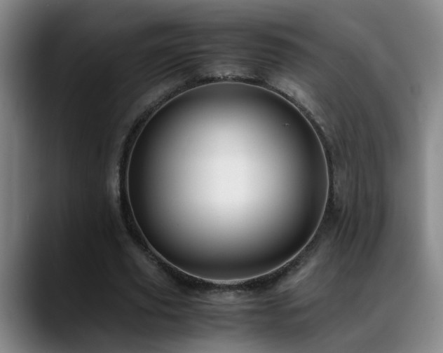 X0000089430629200706151309