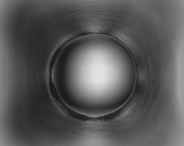 X0000089430630200706151309