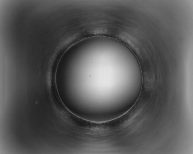 X0000089430631200706151309