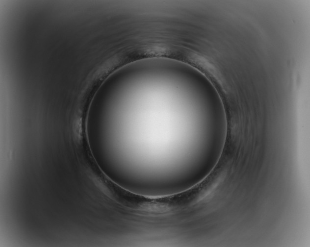 X0000089430633200706151309
