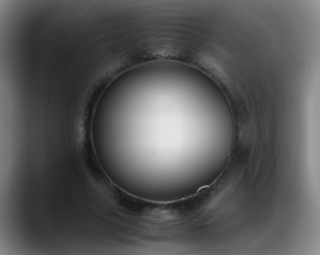 X0000089430635200706151309
