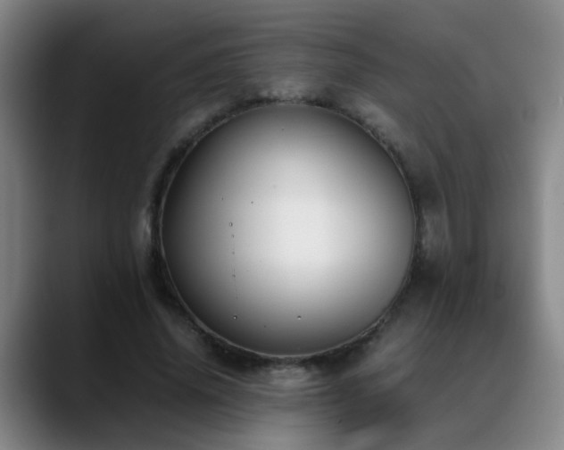 X0000089430636200706151309