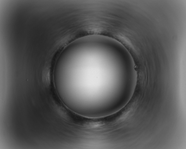 X0000089430638200706151309