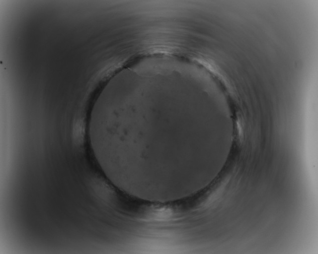 X0000089430640200706151309