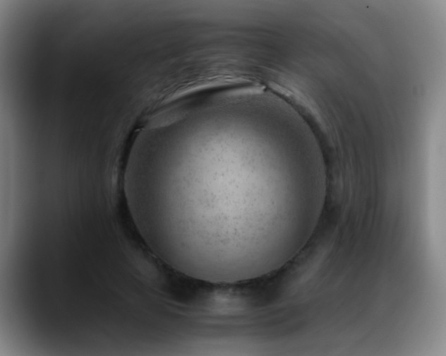 X0000089430641200706151309