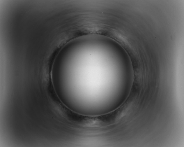 X0000089430642200706151309